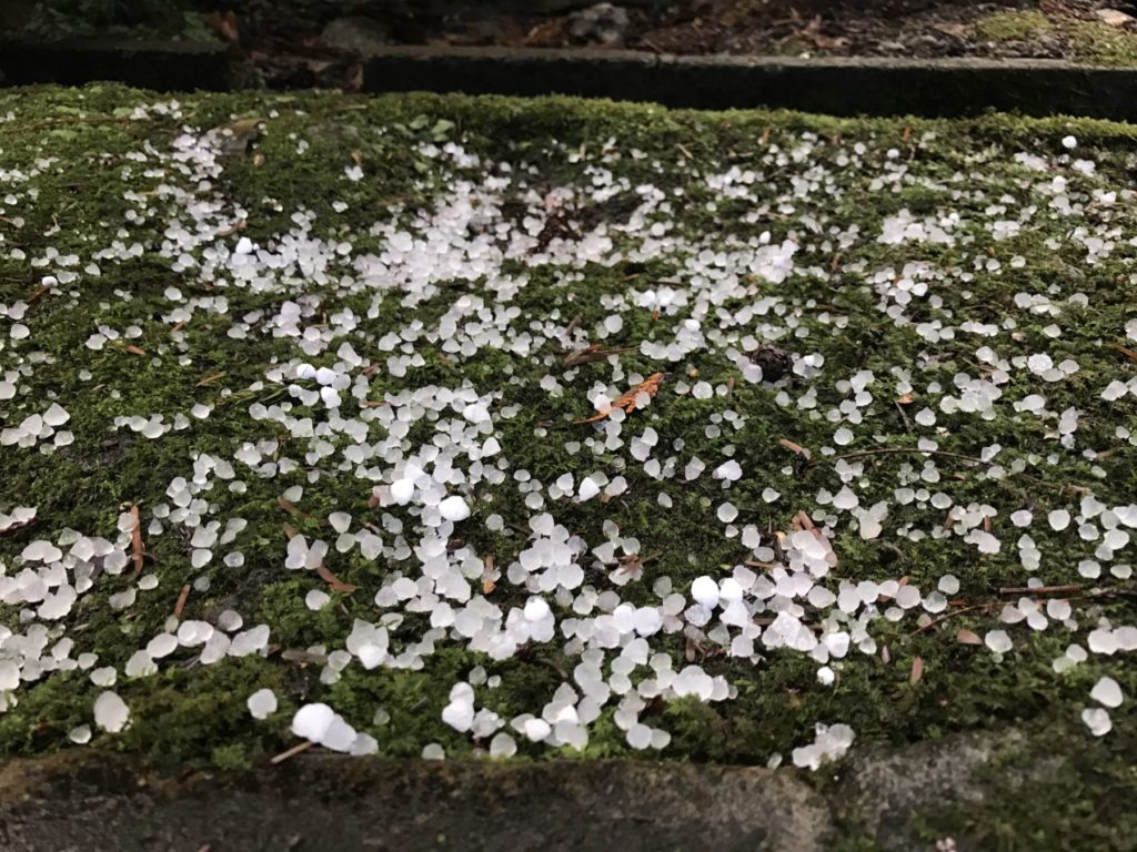 八王子市で雹が来た！